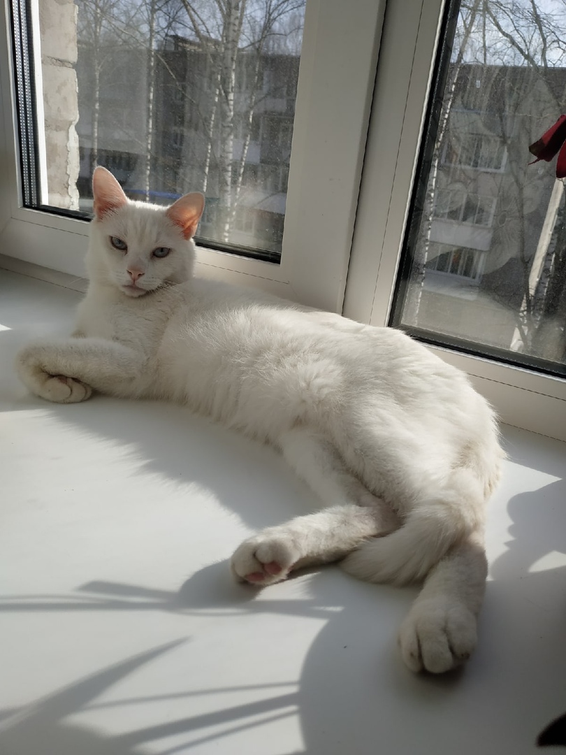 Просто лежу