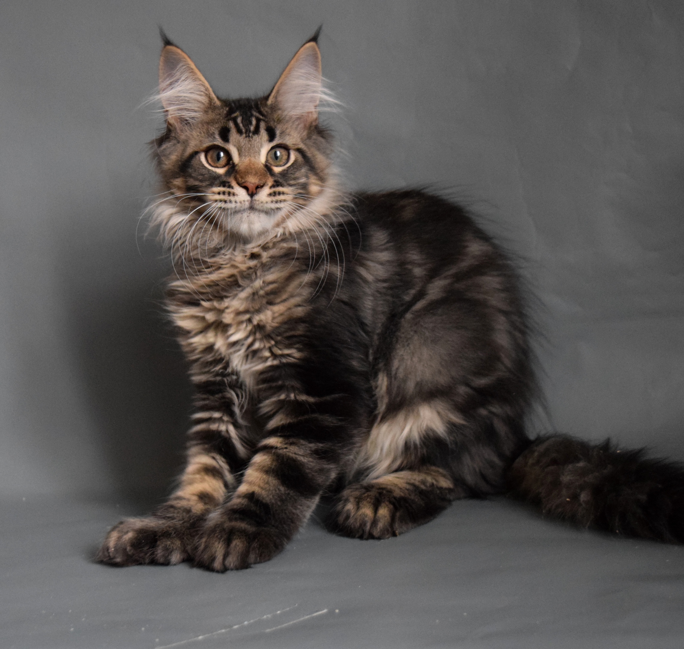 Поцарапал чуть чуть и что