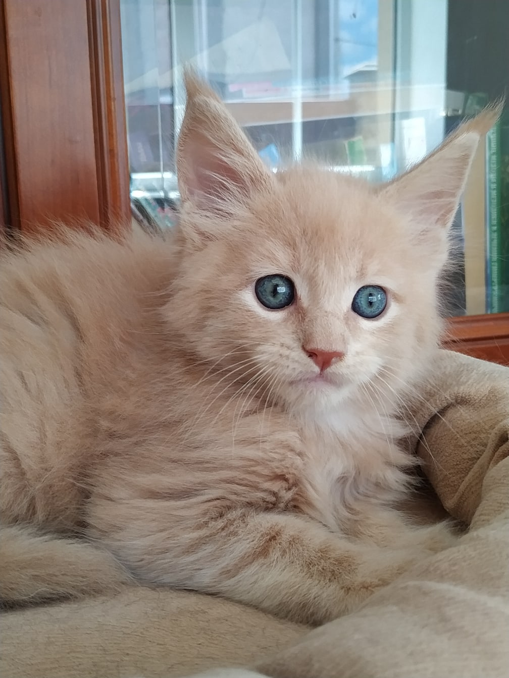 Испуганный малышок