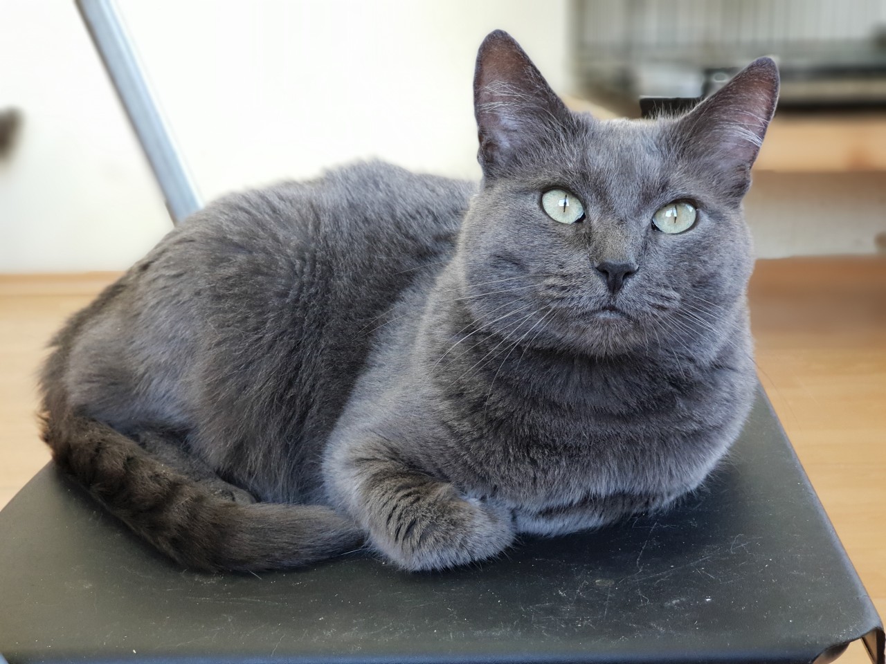 Делать нечего, вот и лежу