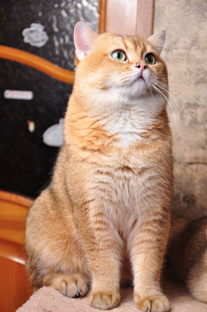 Все уходят на работу, а ты будь хорошей девочкой