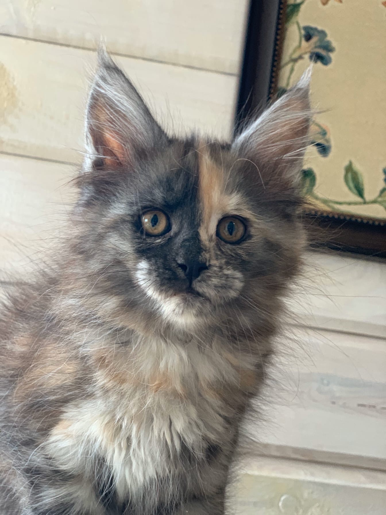 Не бойся, здесь тебе будет хорошо