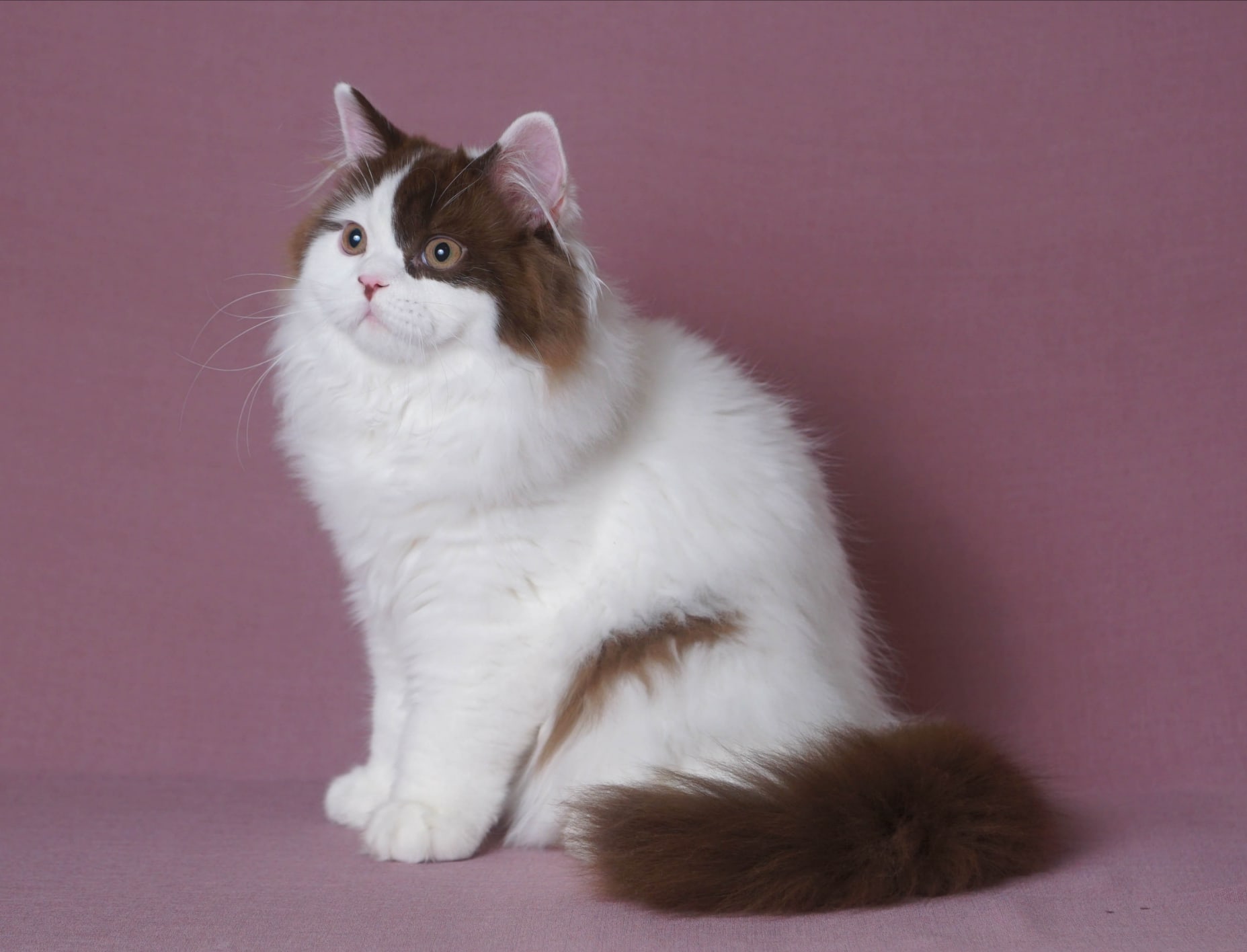 Фотосессия- это не работа, а удовольствие