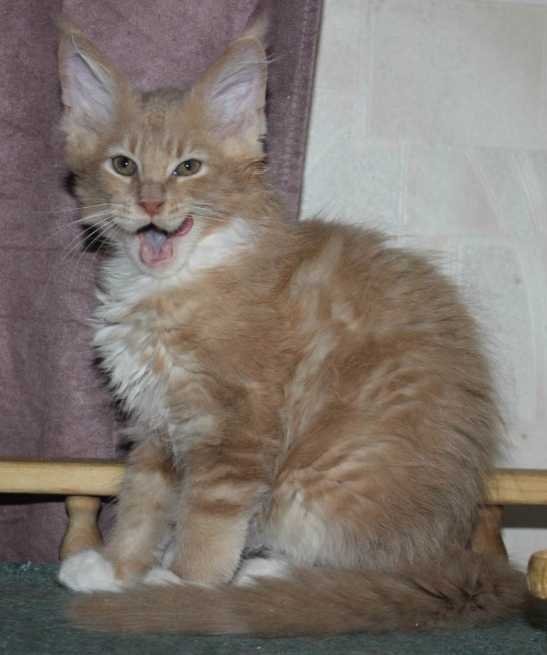 Ну вот покушал, теперь можно и поспать