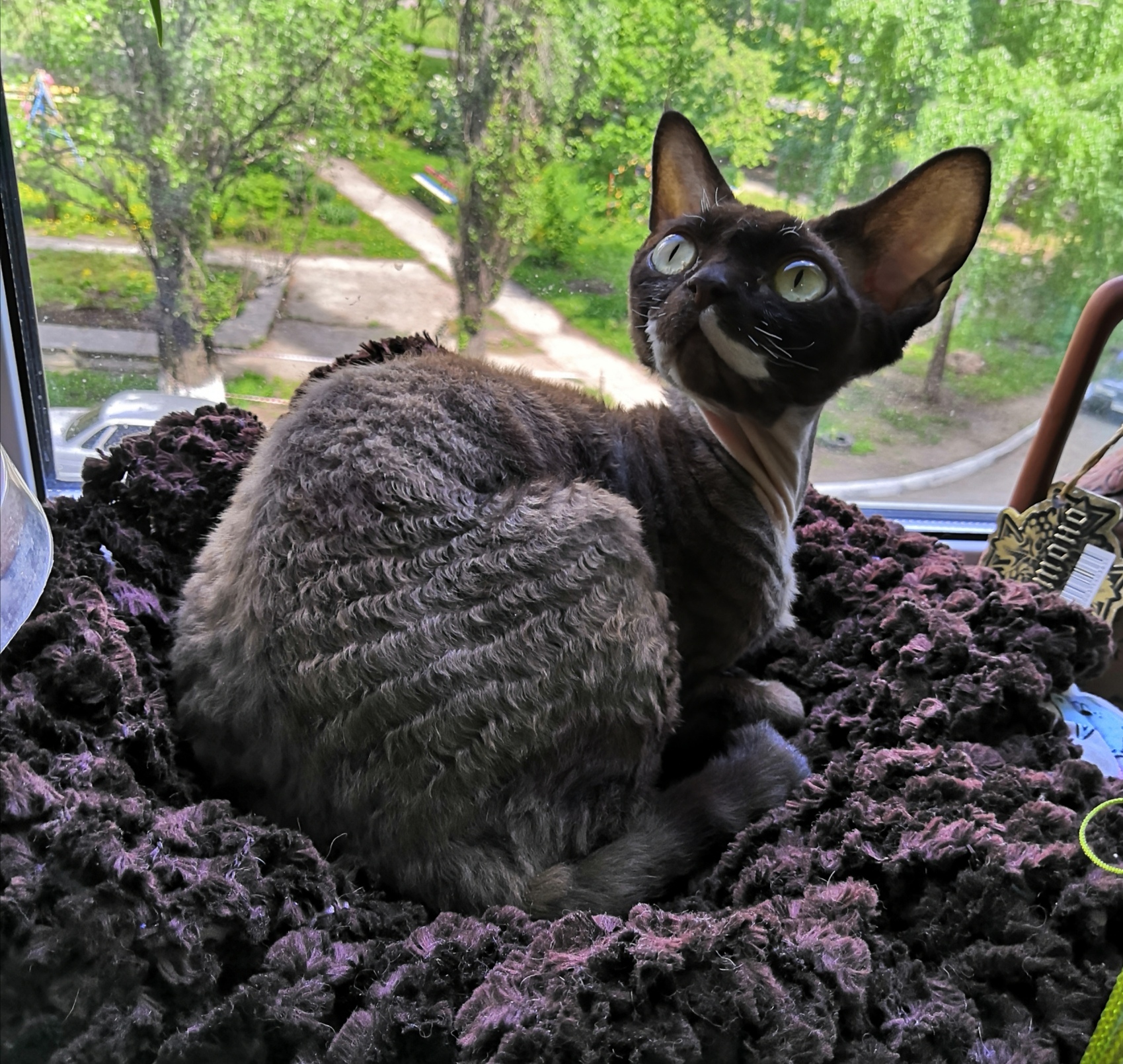 Я своё местечко никому не уступлю