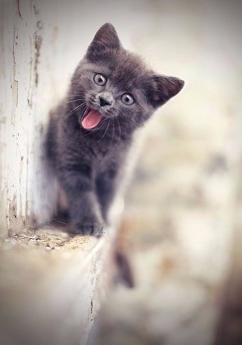 Ой, как бы не упасть