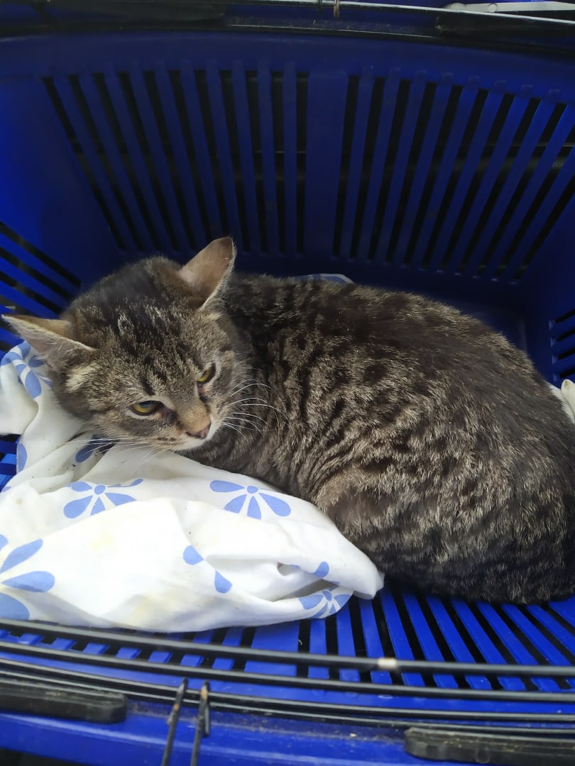 Я не вылезу, мне и тут хорошо