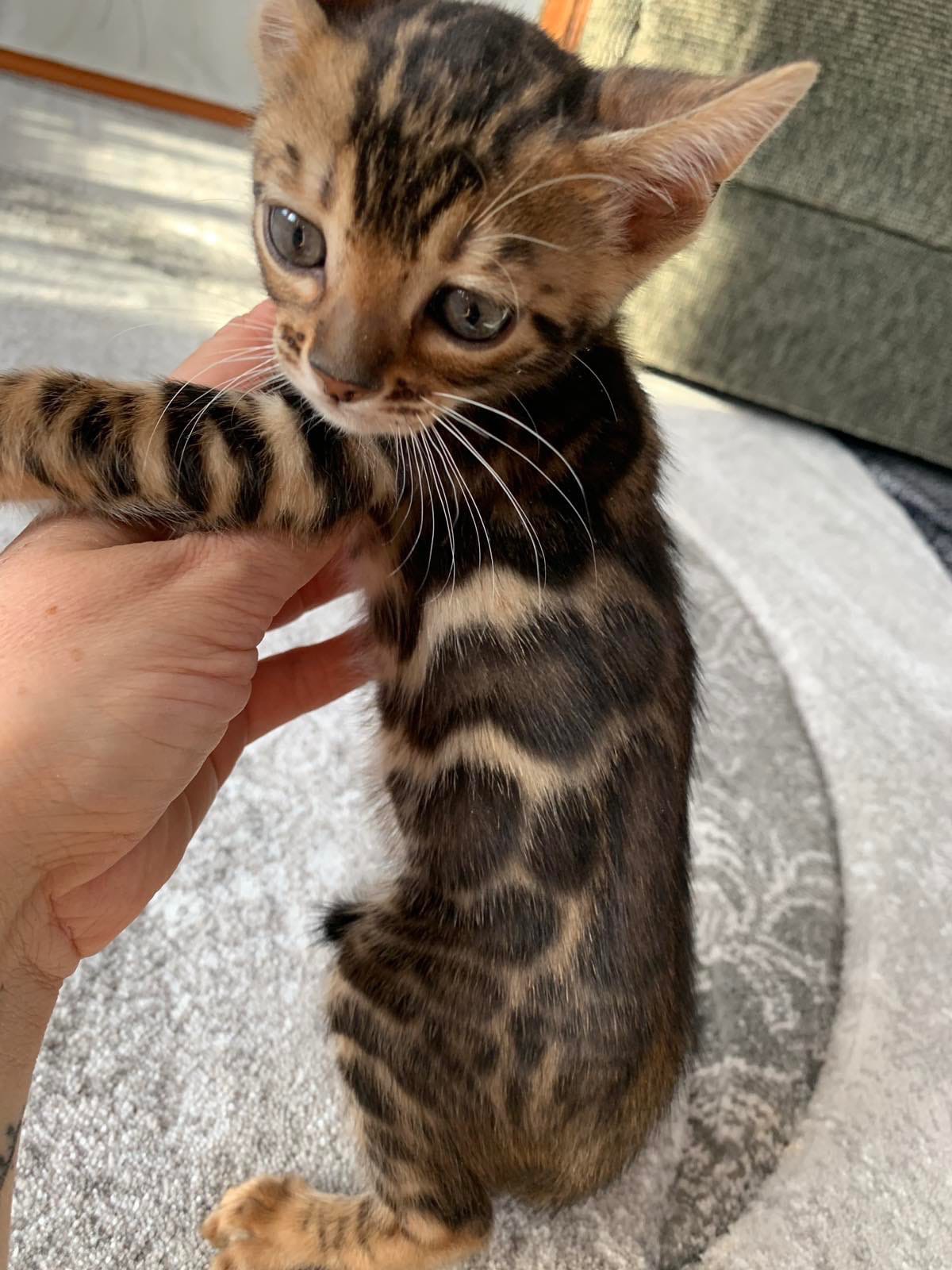 Что они на мне пытаются найти