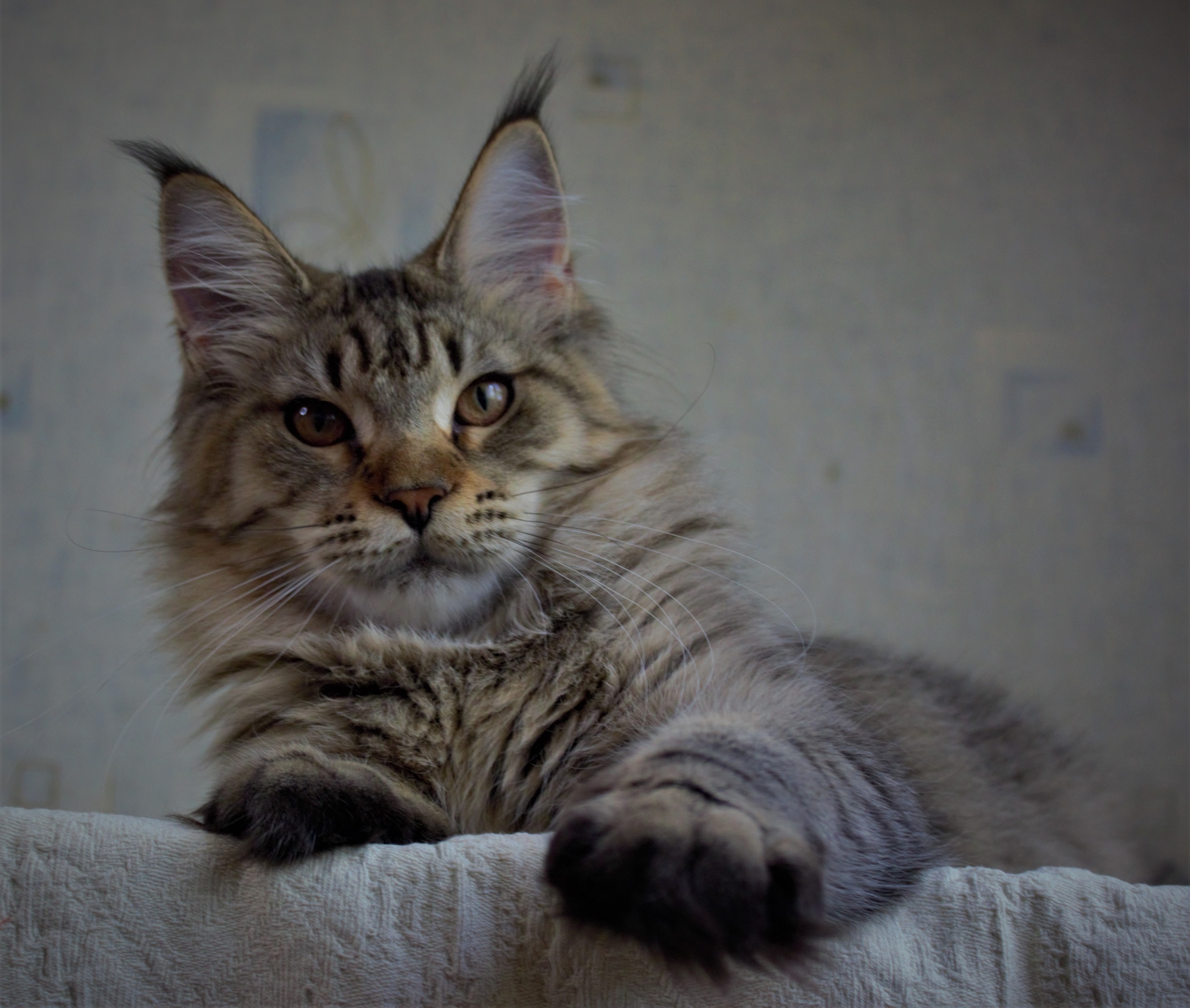 Я проснулся, с добрым утром