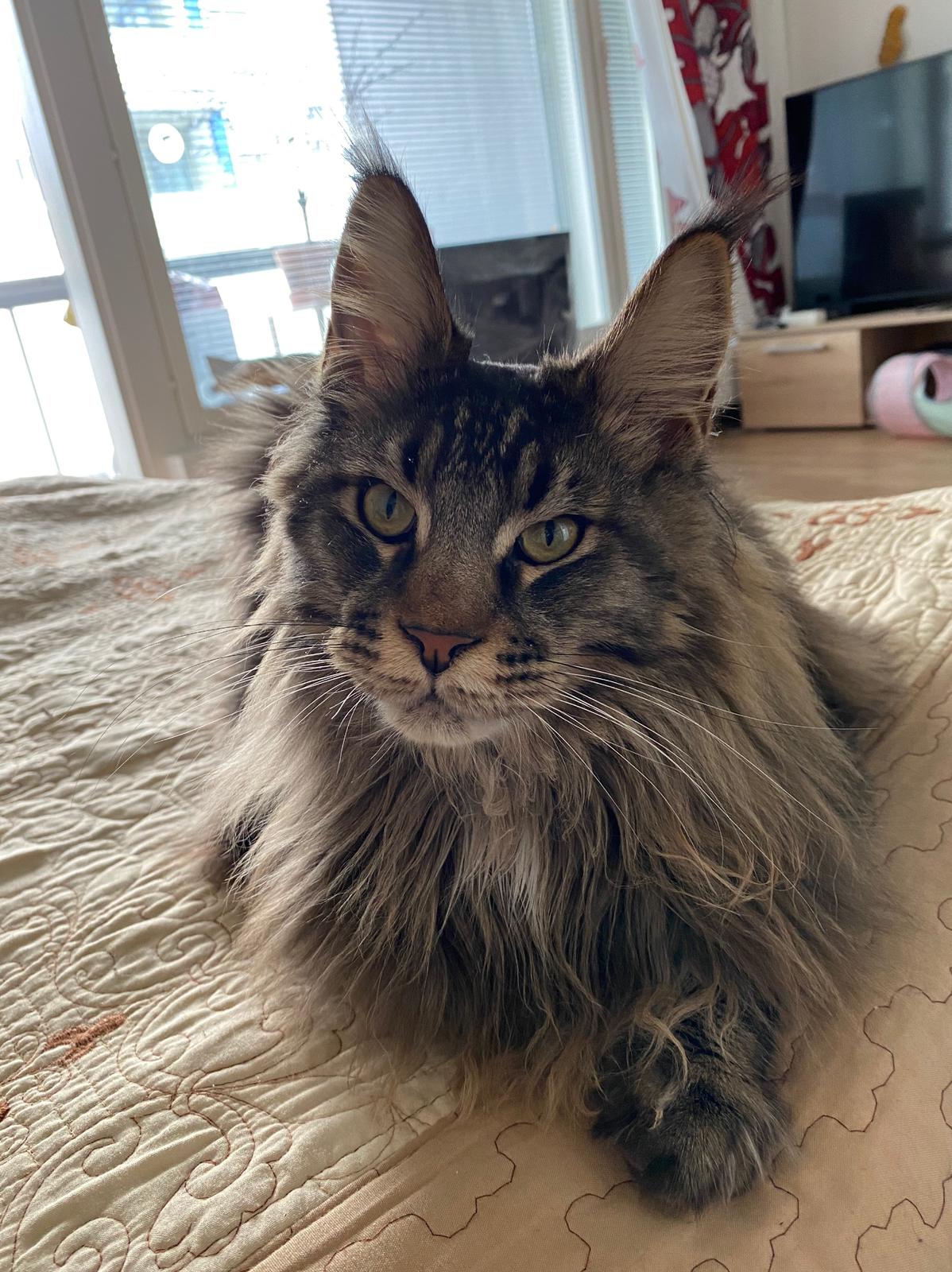 Городской парнишка