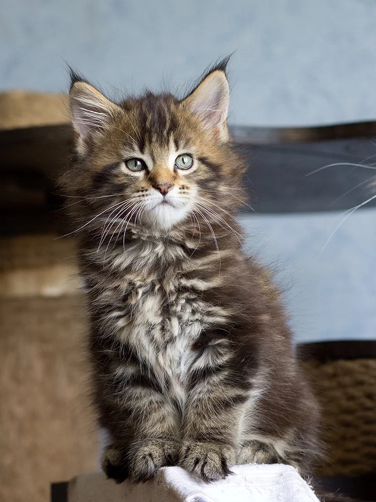 Я уже большой