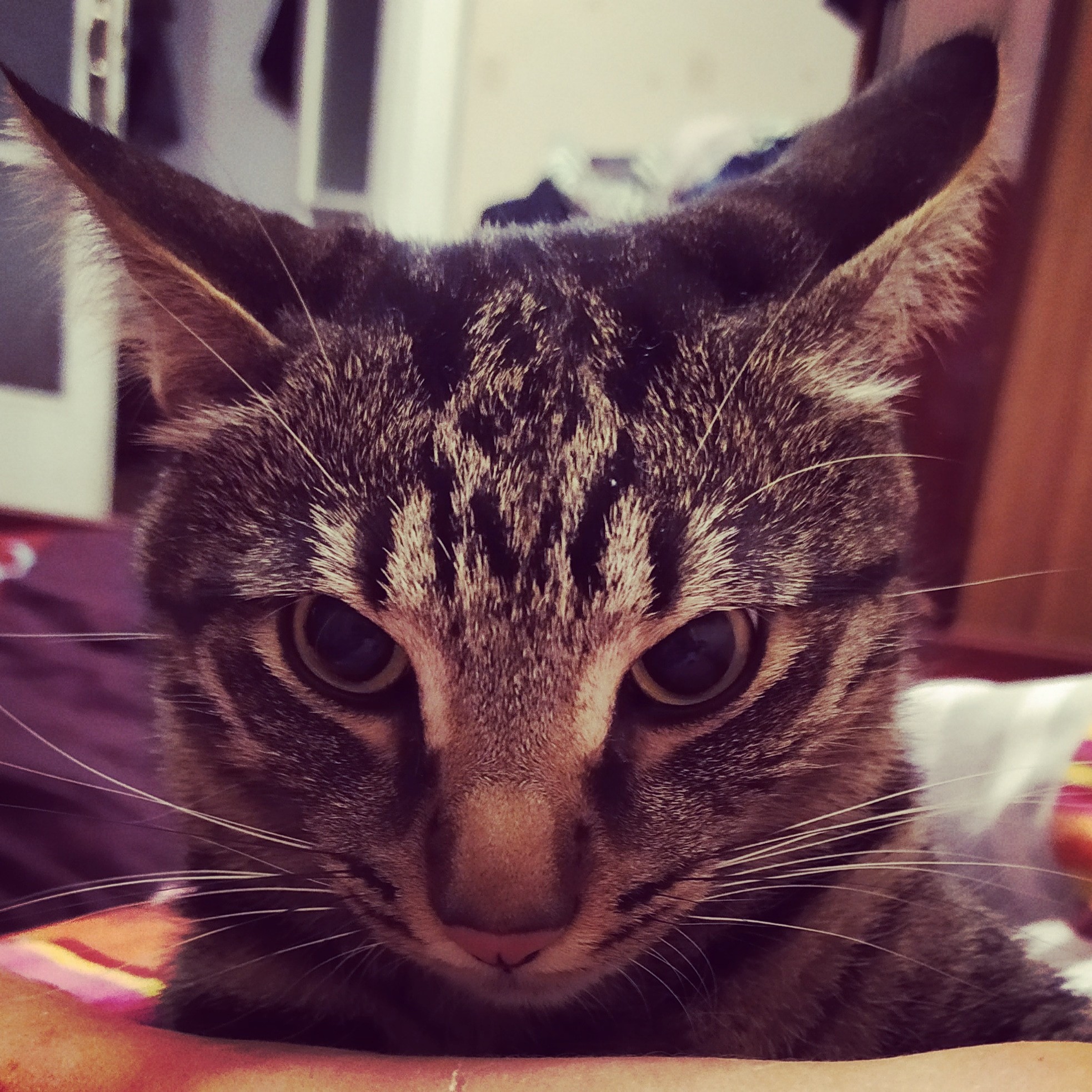 Я злопамятный, так что держитесь