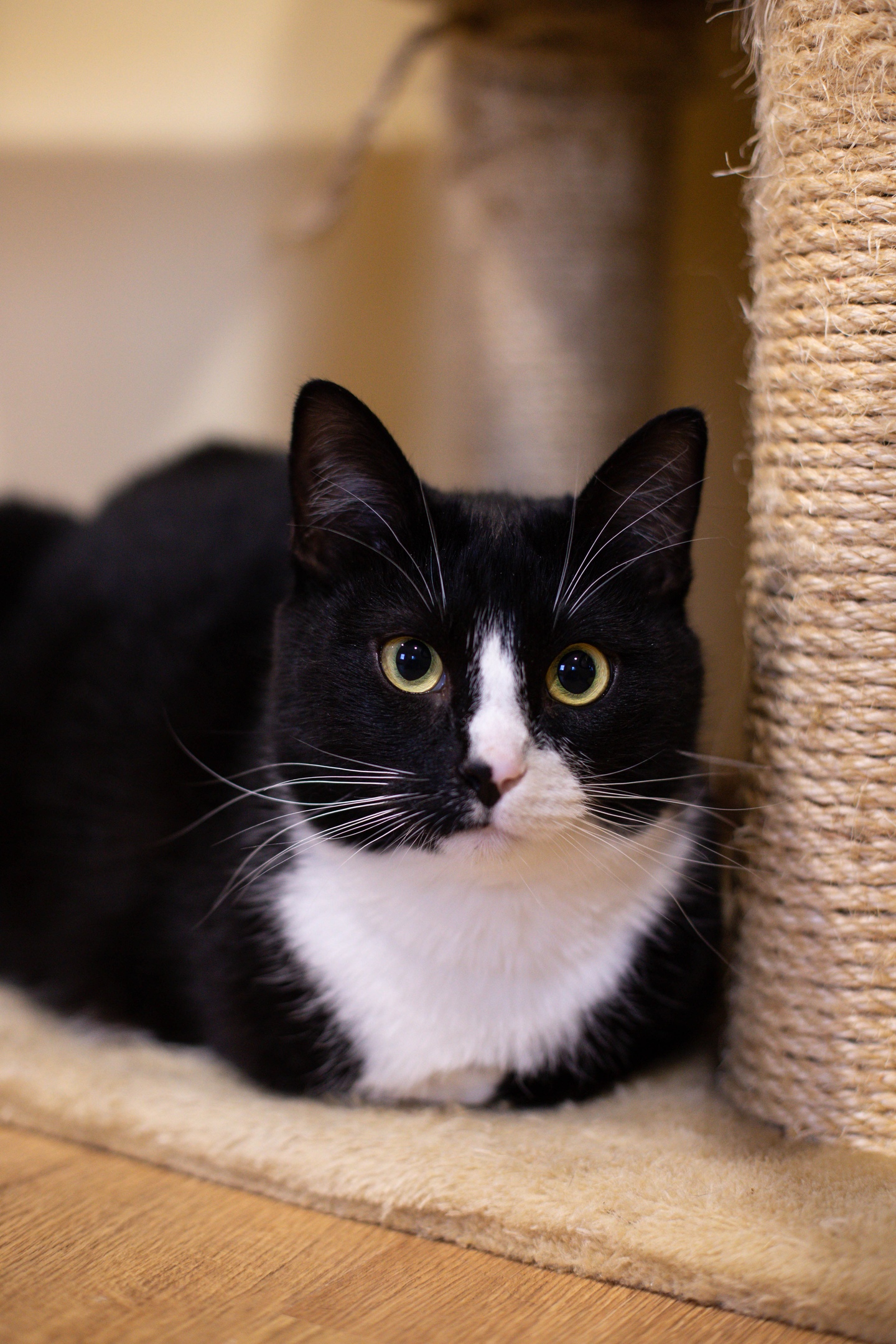 Не надо меня фотографировать