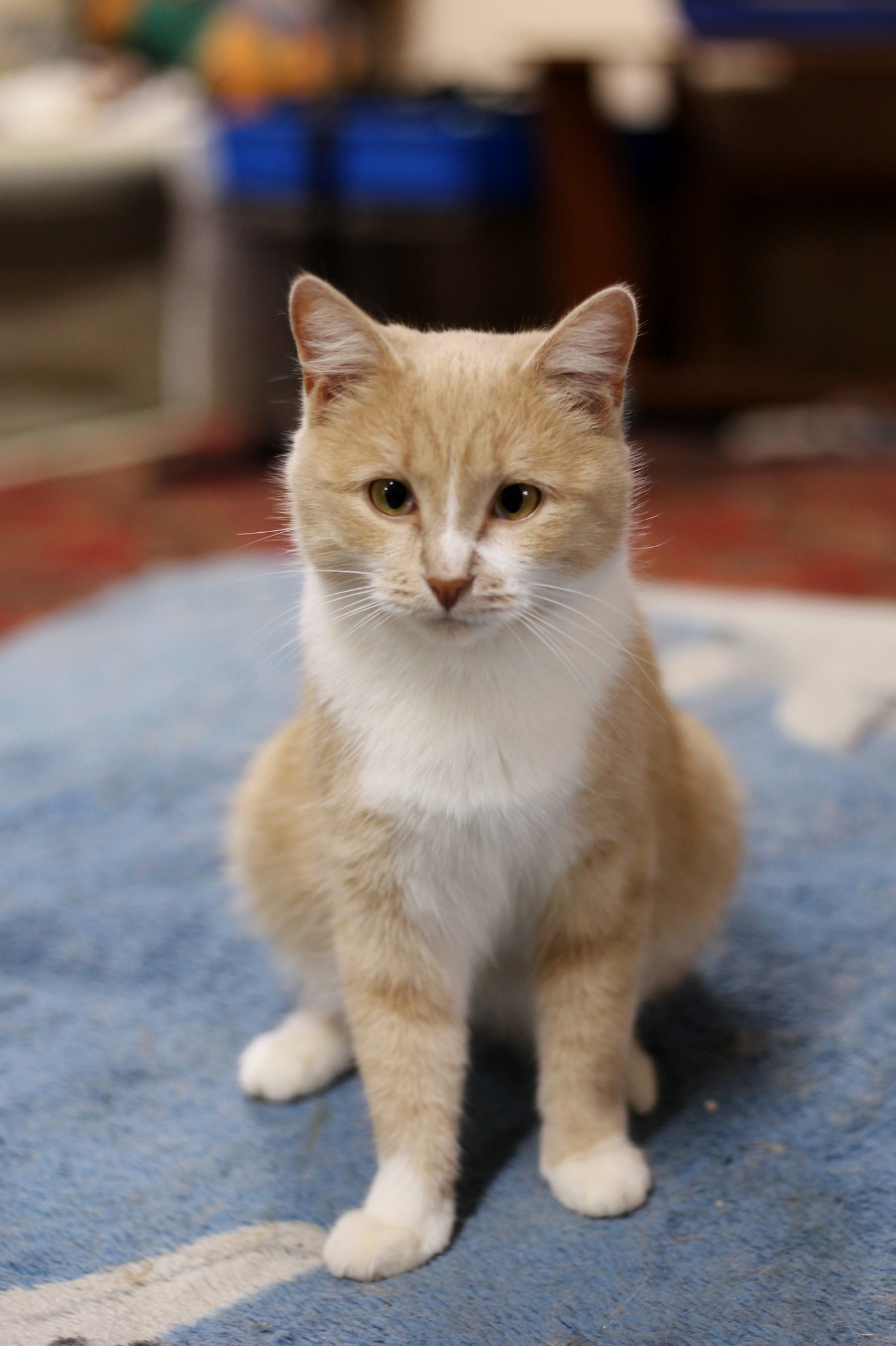 Давайте пошалим, пока я не умер от скуки