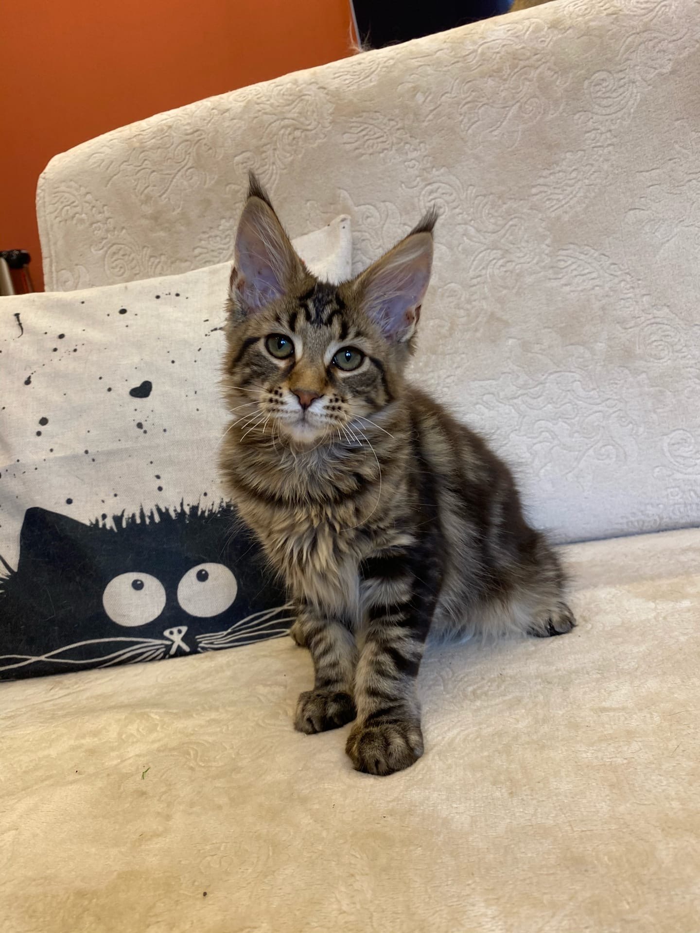 Можно я отдохну