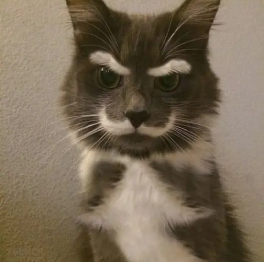 Недовольный начальник