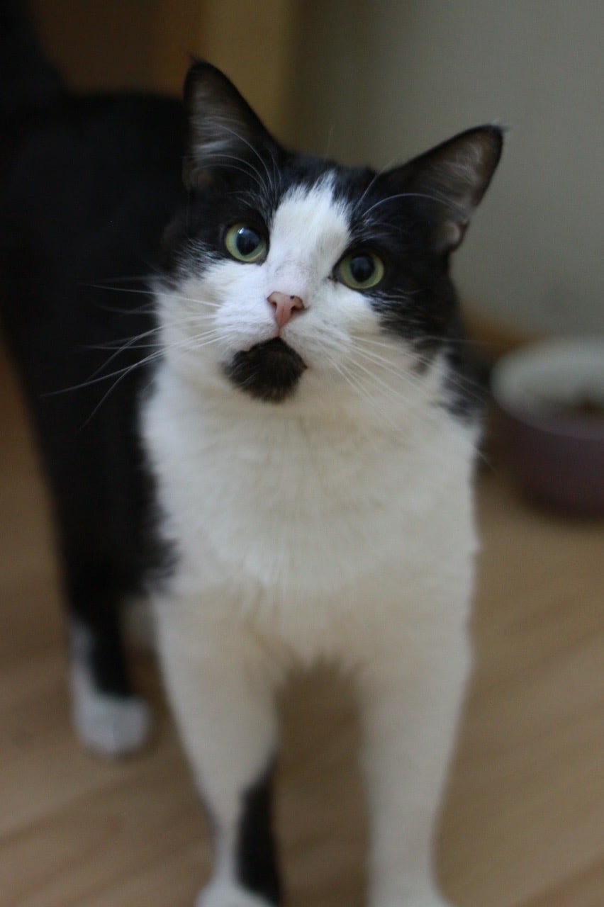 Куда пойдём