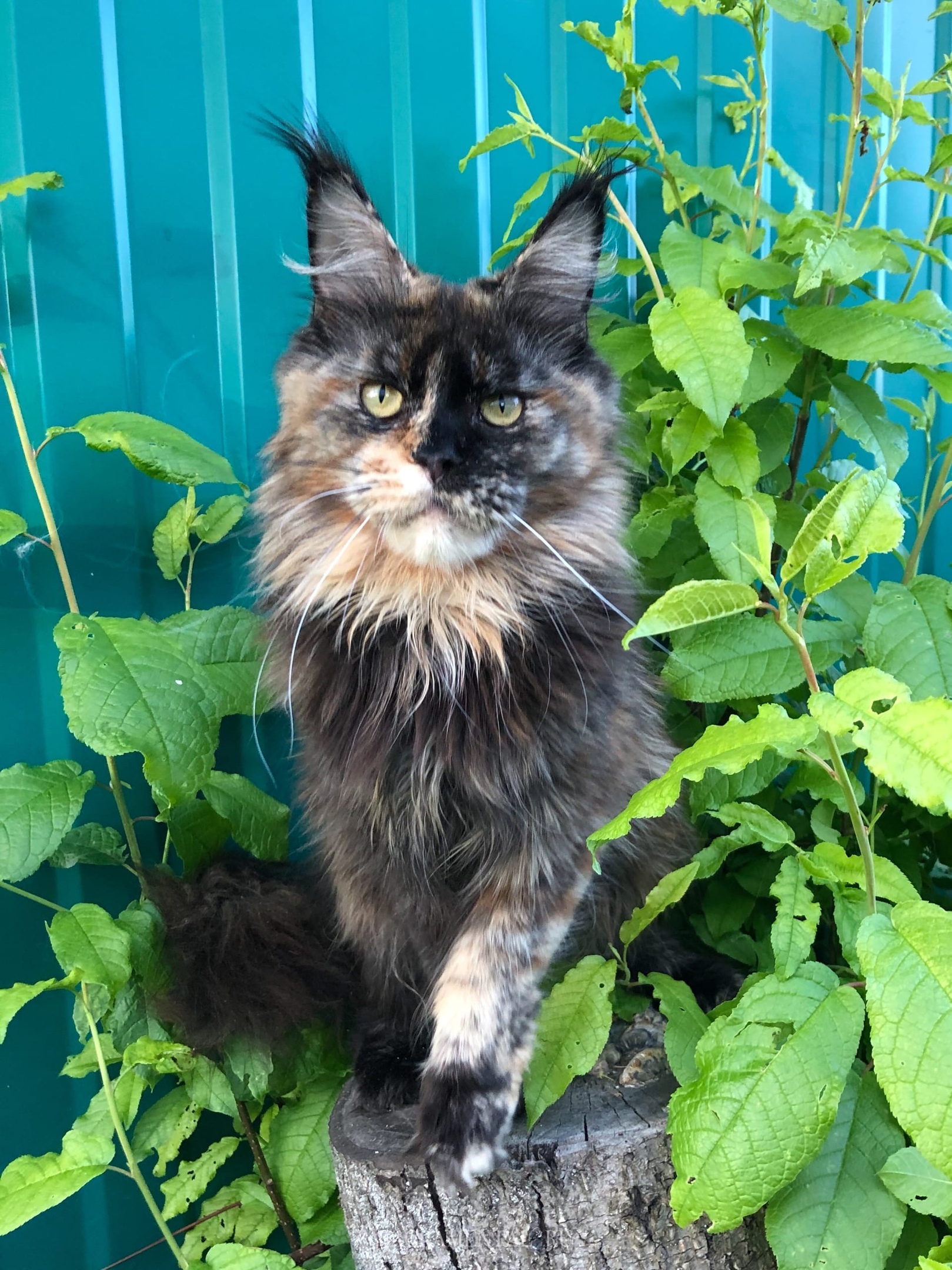 Ну вот, побыл в одиночестве, уже нашли