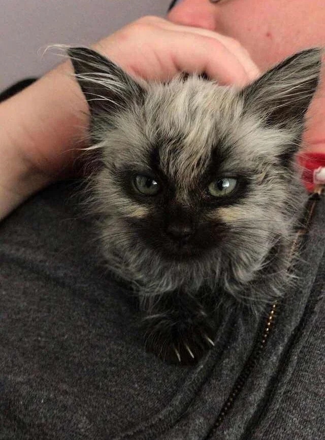 Ты сними меня, фотограф