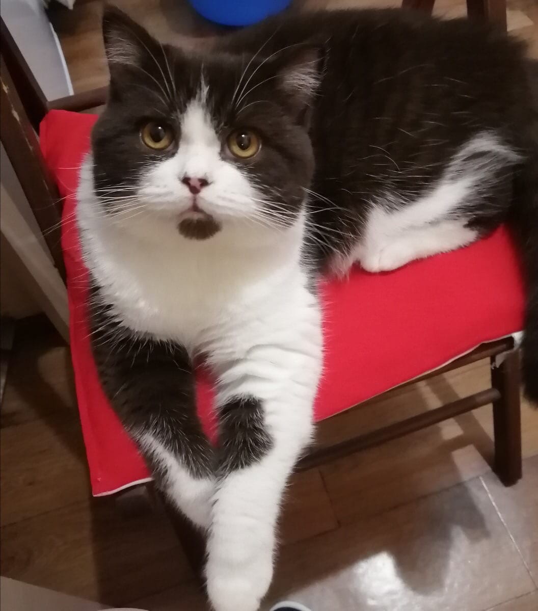 На работе ведите себя хорошо