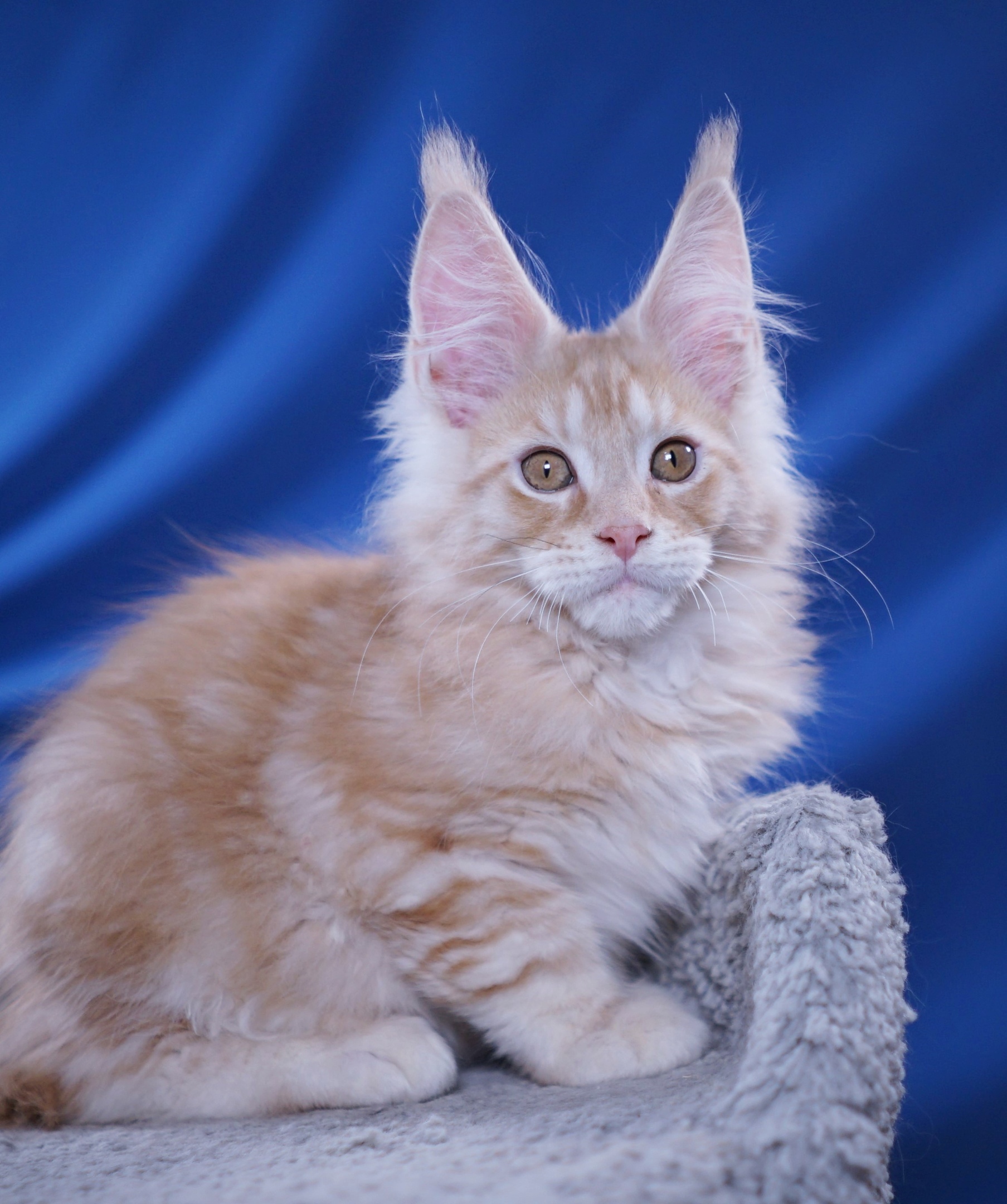 Впервые на фотосессии