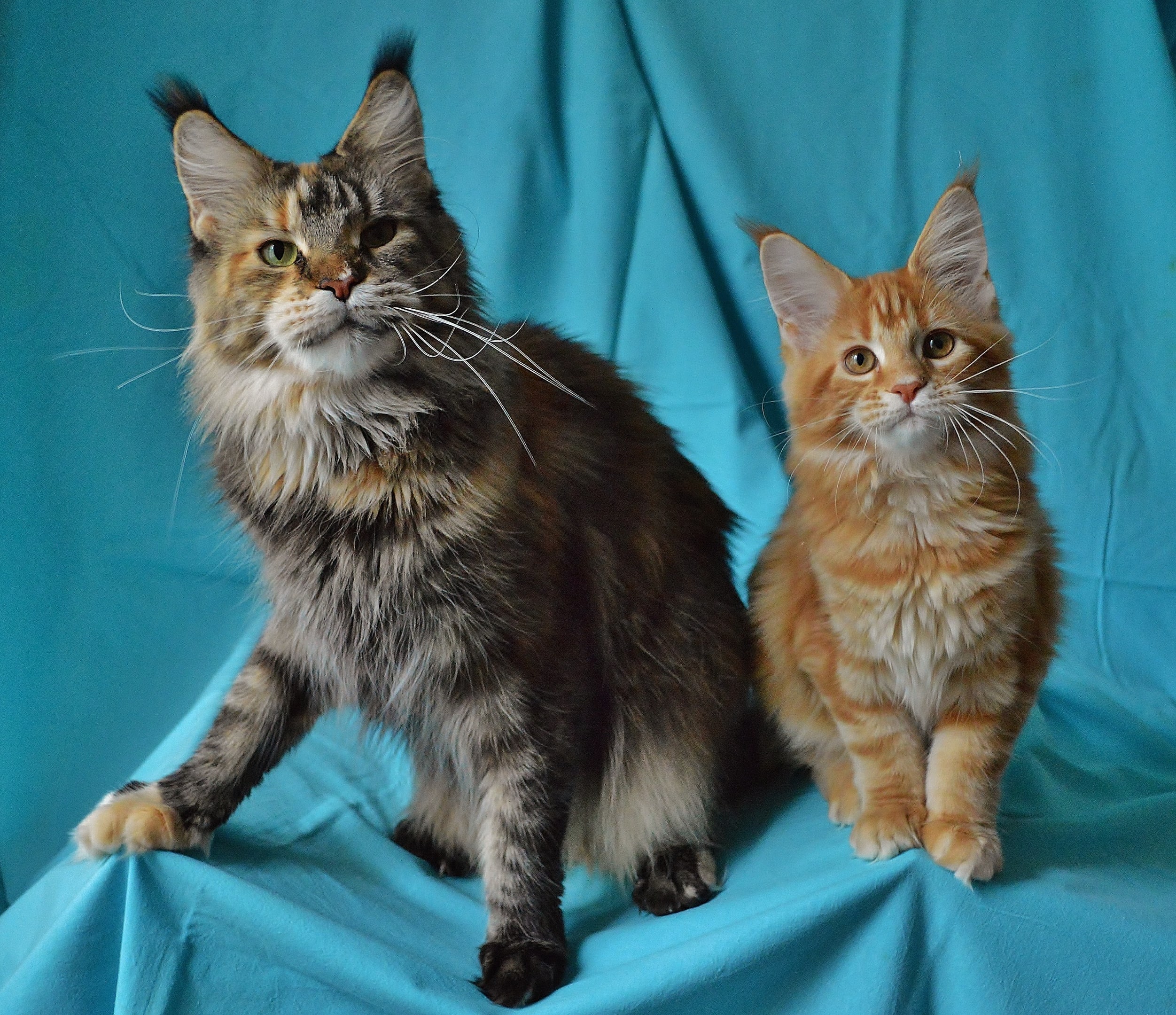 Два поколения в одном фото