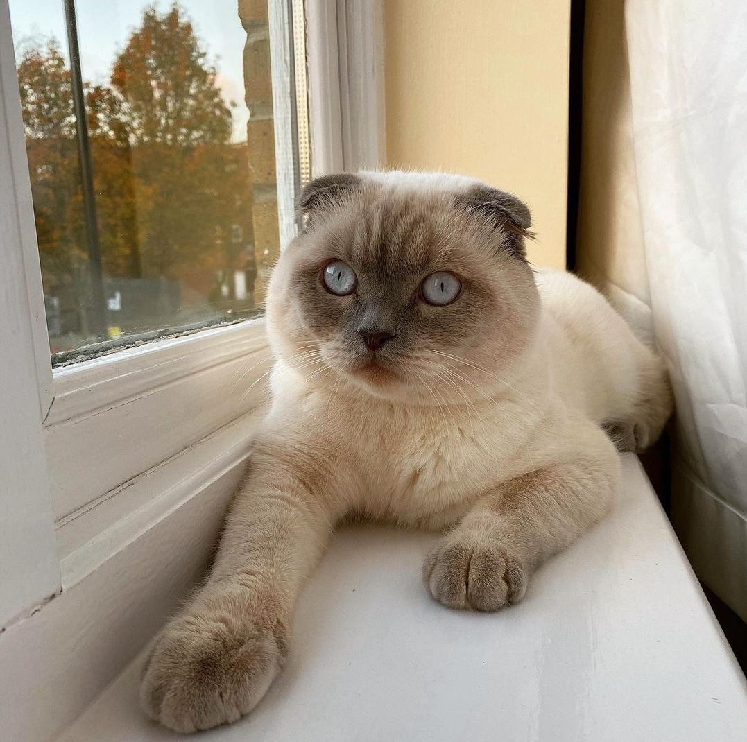 Ну когда же мои родненькие придут с работы