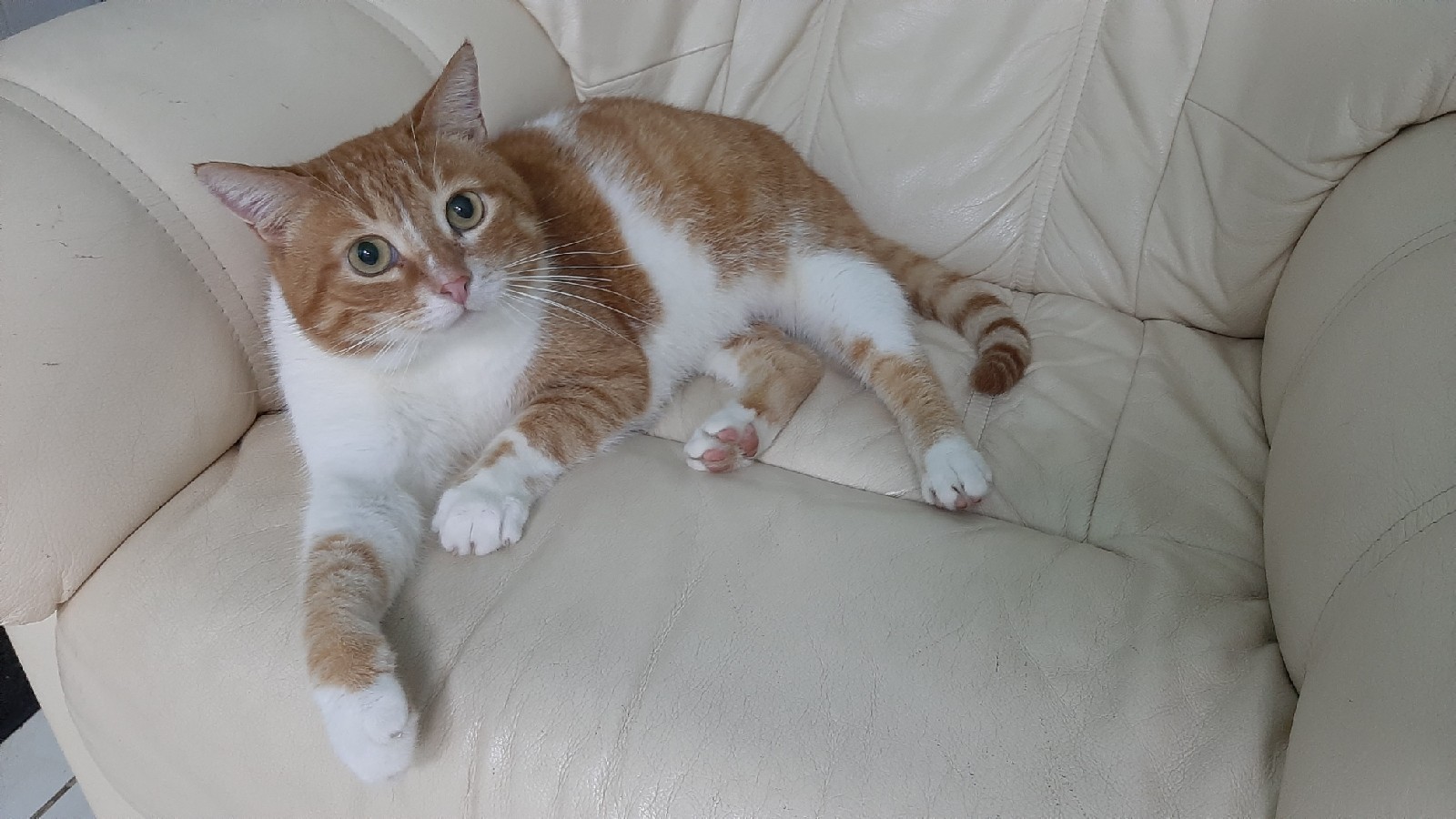 Я первый занял кресло