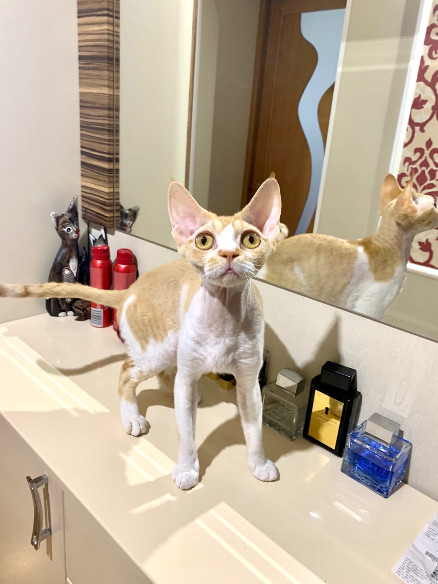 Хозяин, что это я в тебя такой влюблённый