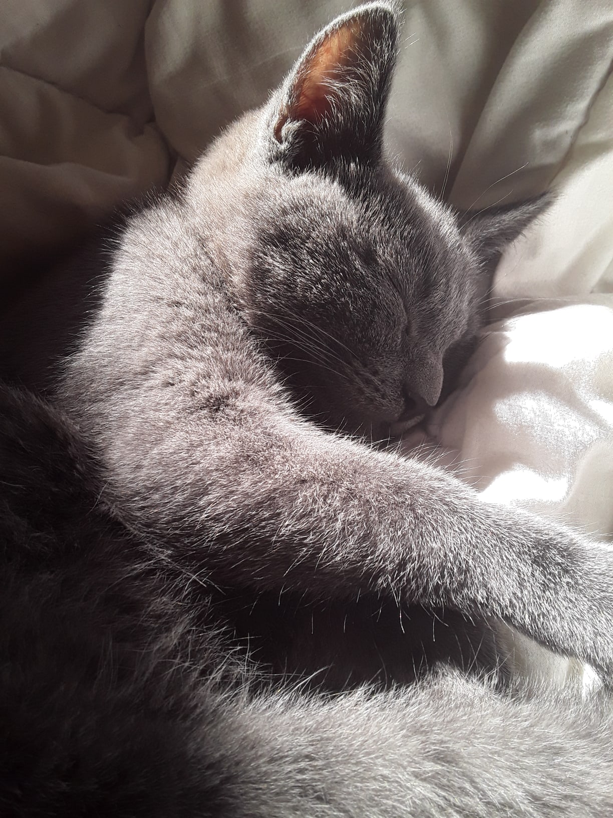 Не мешайте сон досмотреть