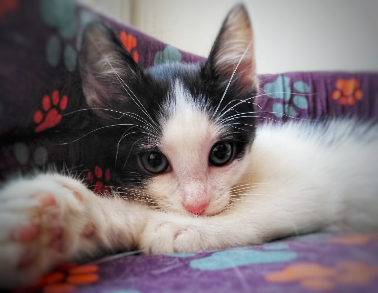 Хотите полежать со мной, здесь места много