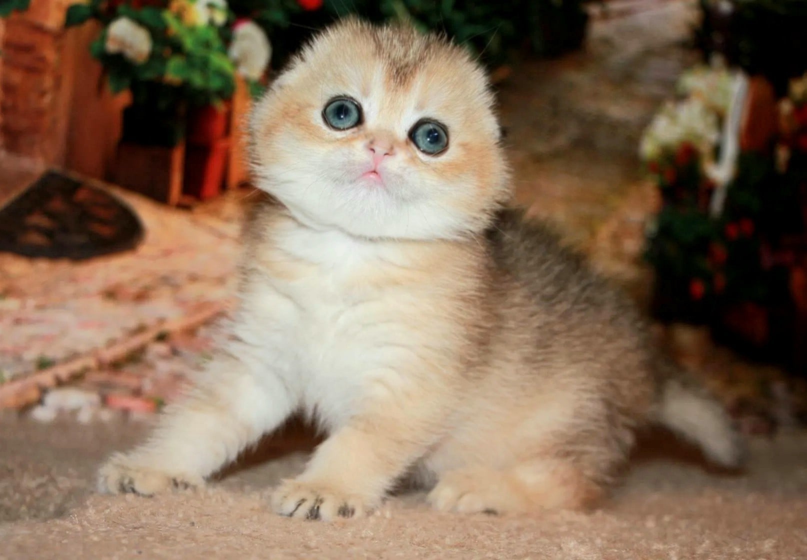 Кто со мной будет баловаться