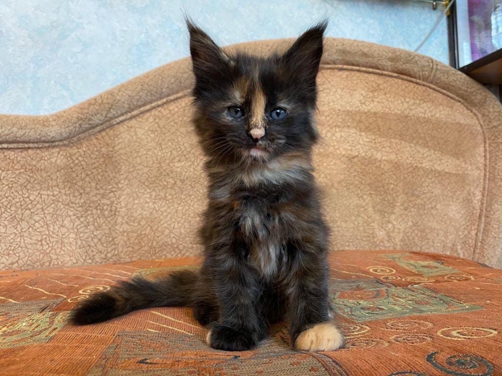 Что бы такого сотворить