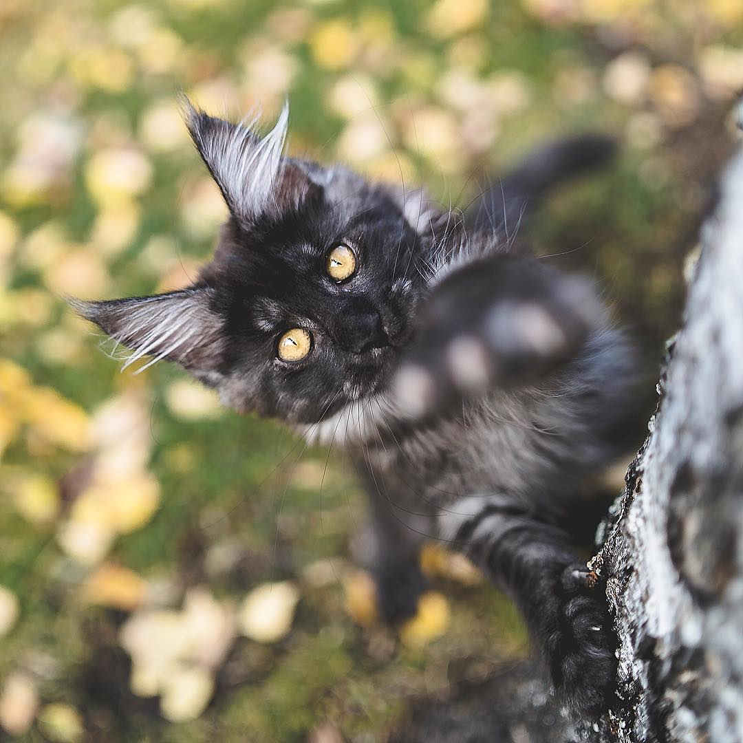 Всё выше и выше, и выше