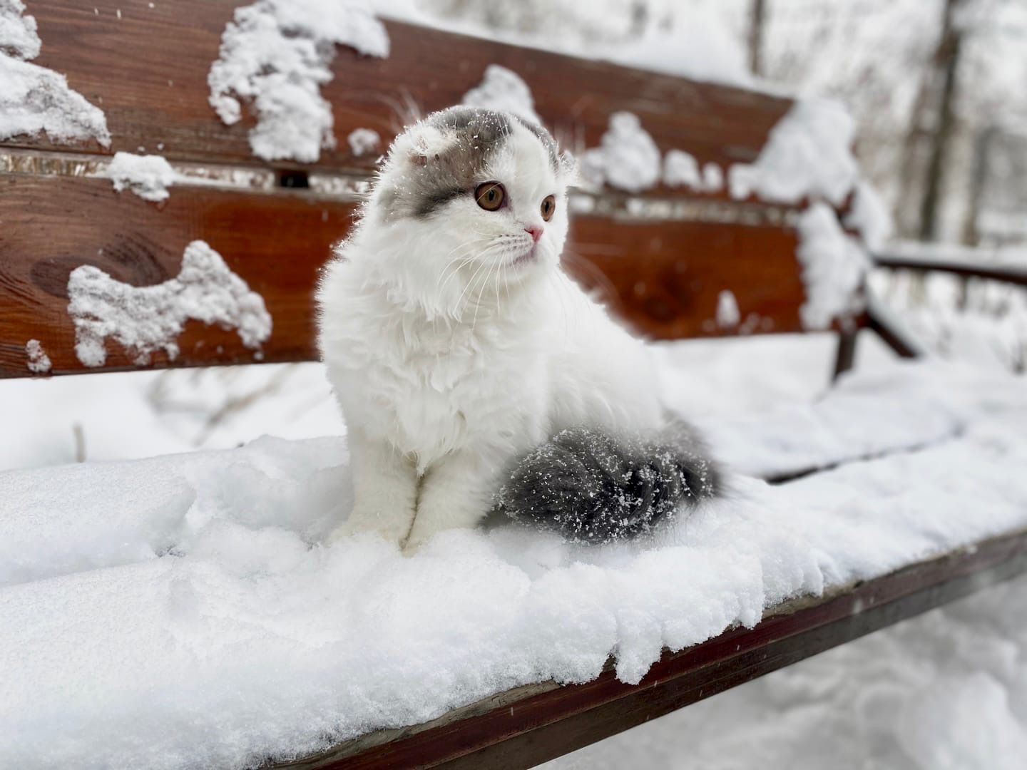 Кажется, свидание не состоится