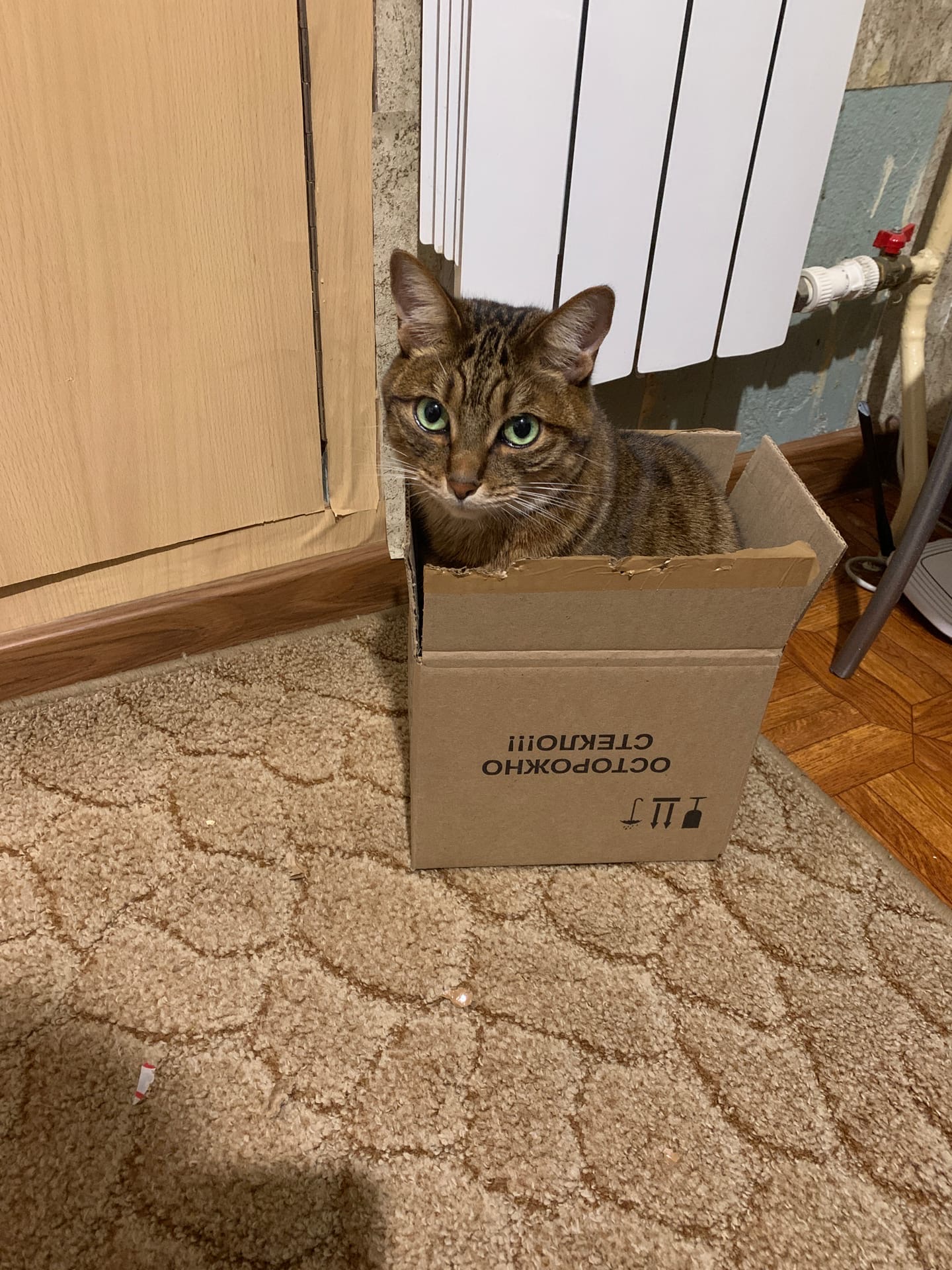 Дайте коробку побольше