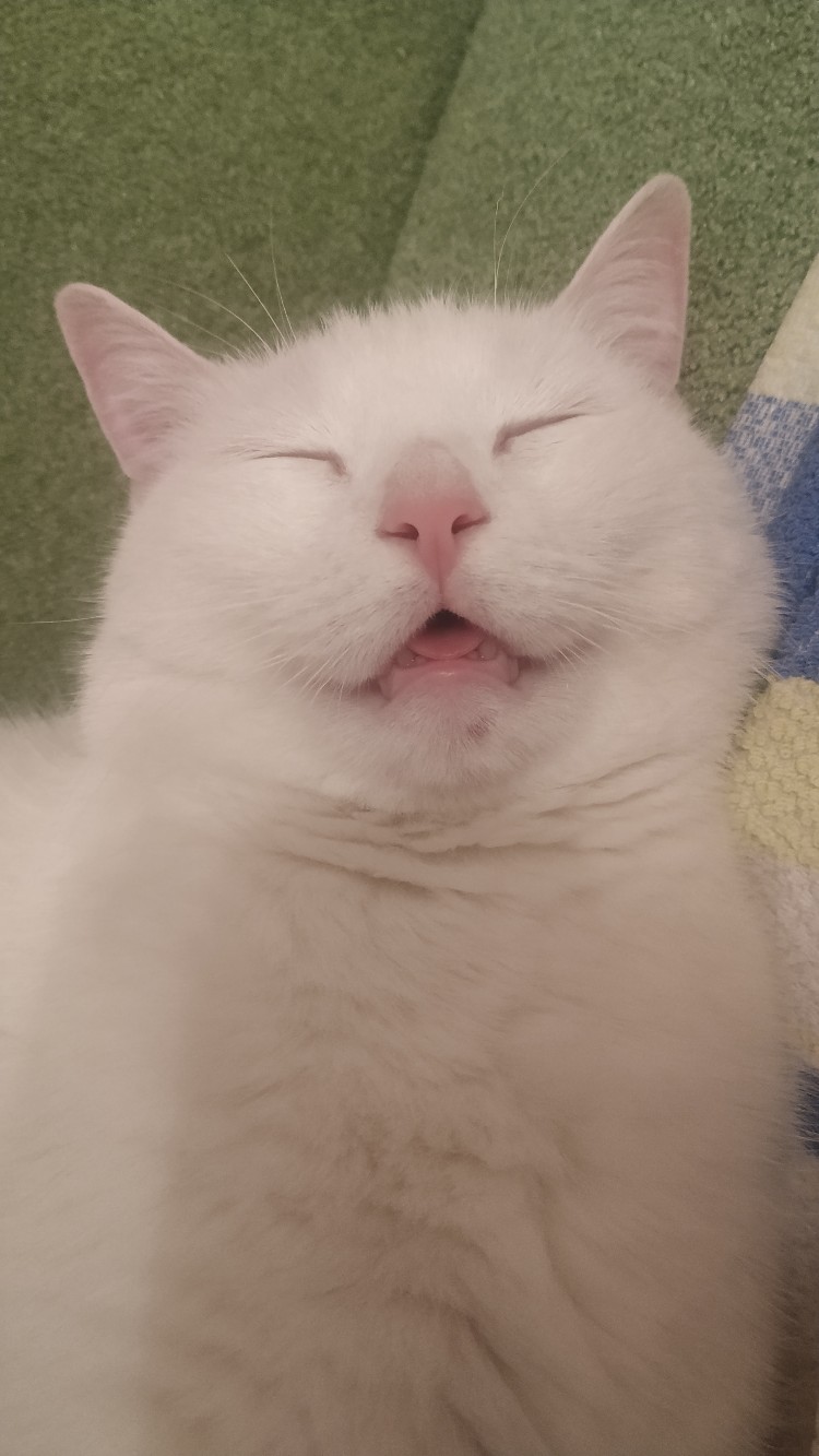 Не смейтесь, если захраплю