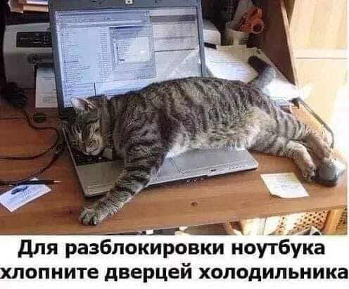 Нет еды, нет ноутбука