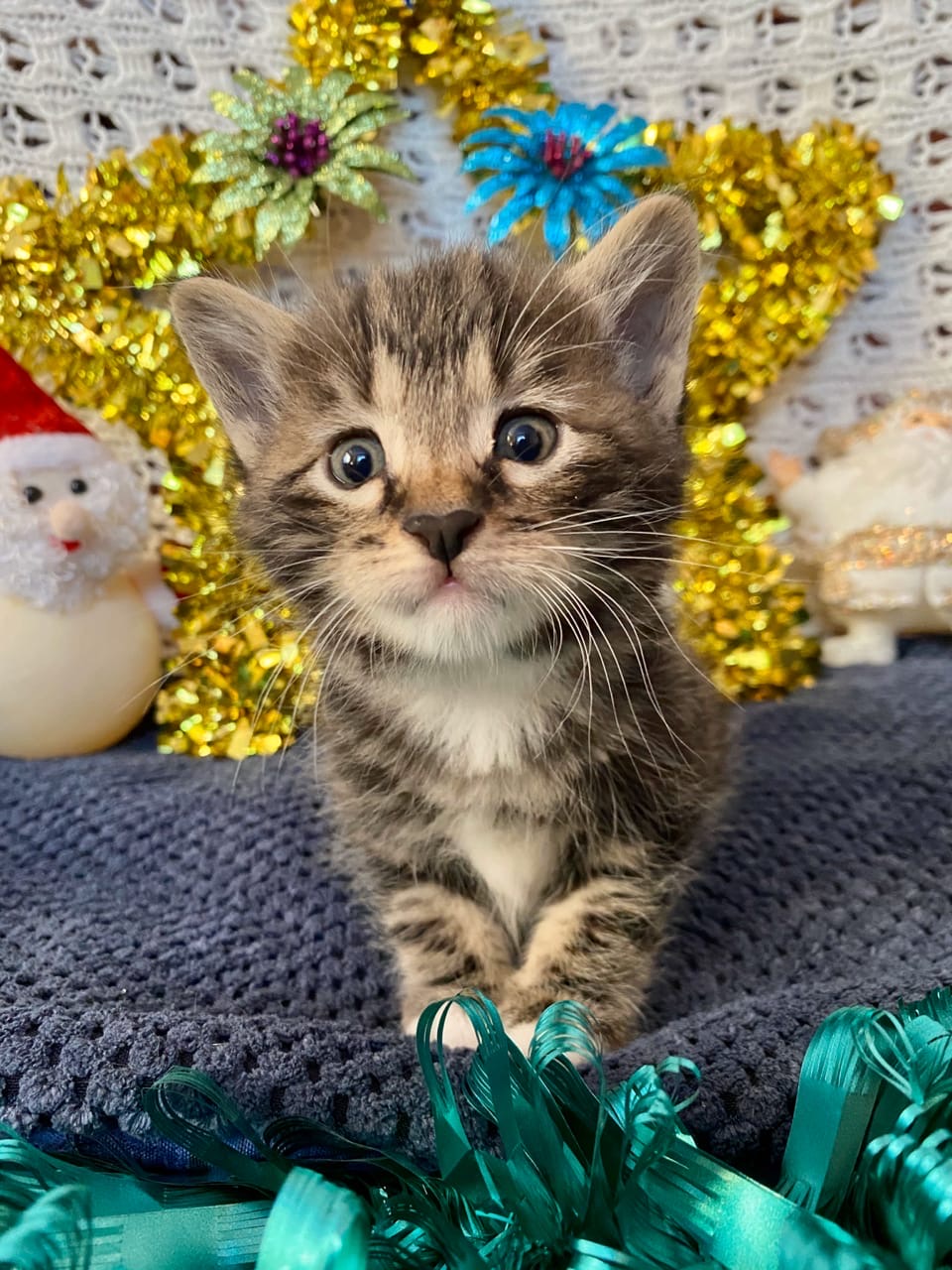 Что такое Новый год