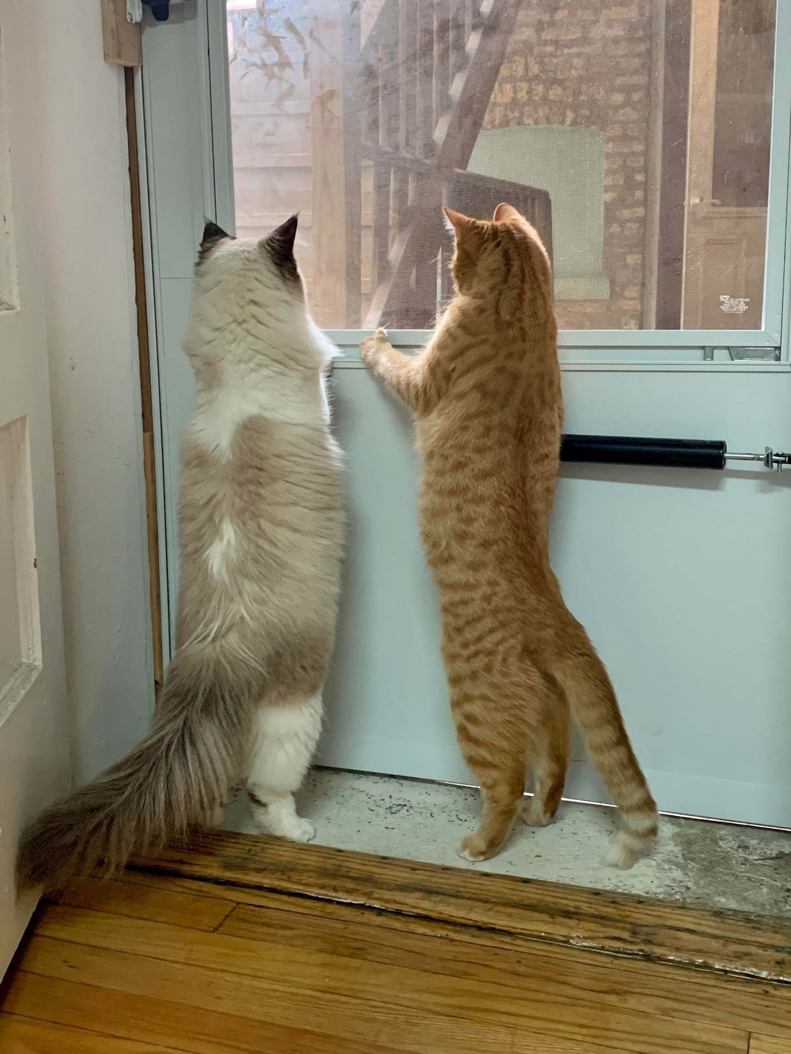 Бабуля, давай быстрее, мы уже заждались