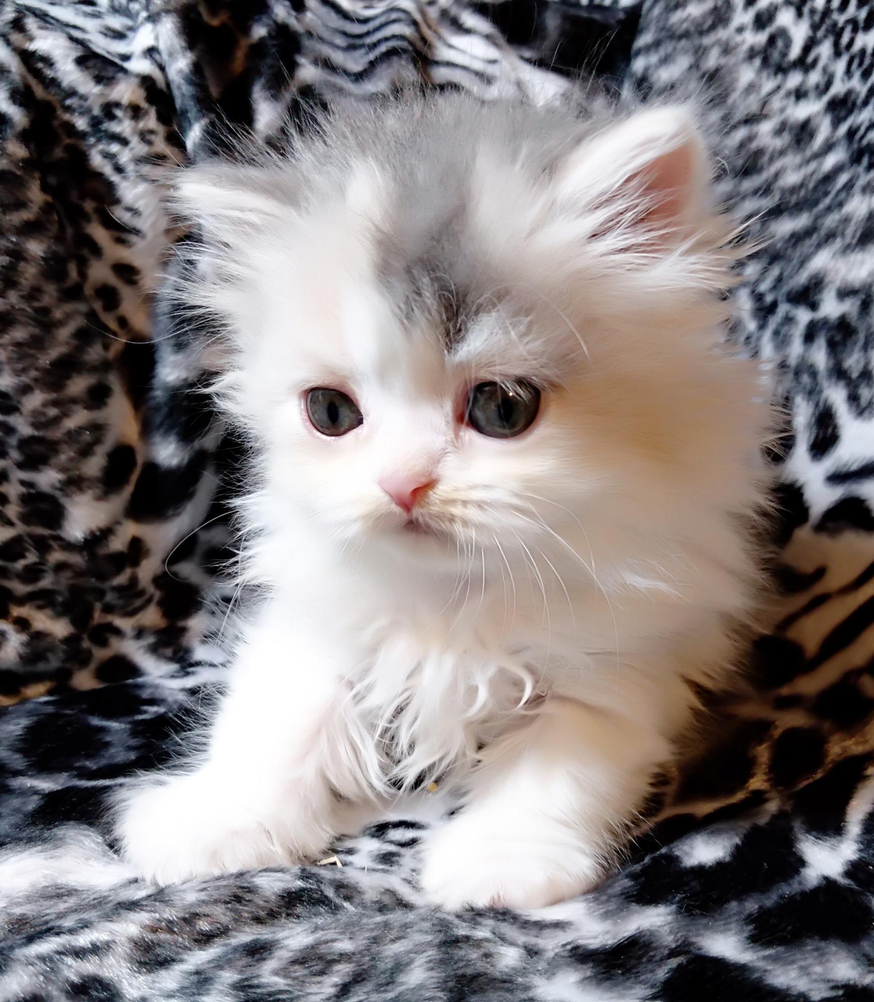 Берите камеры, сейчас начну чудить