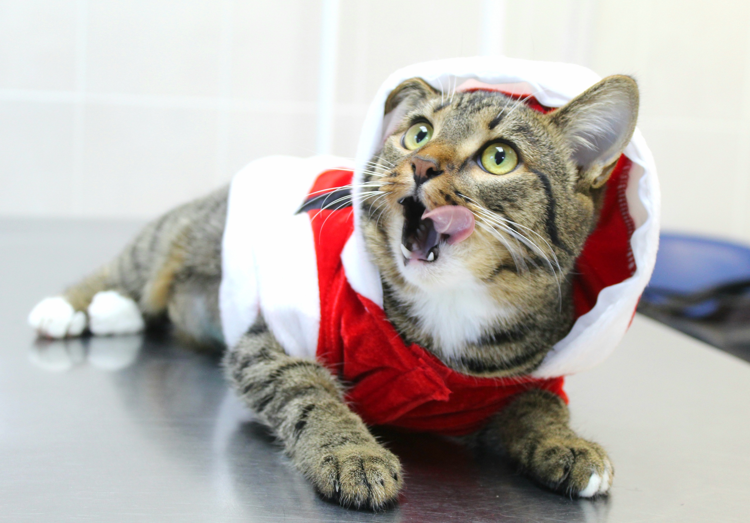 Не, подарков не видел