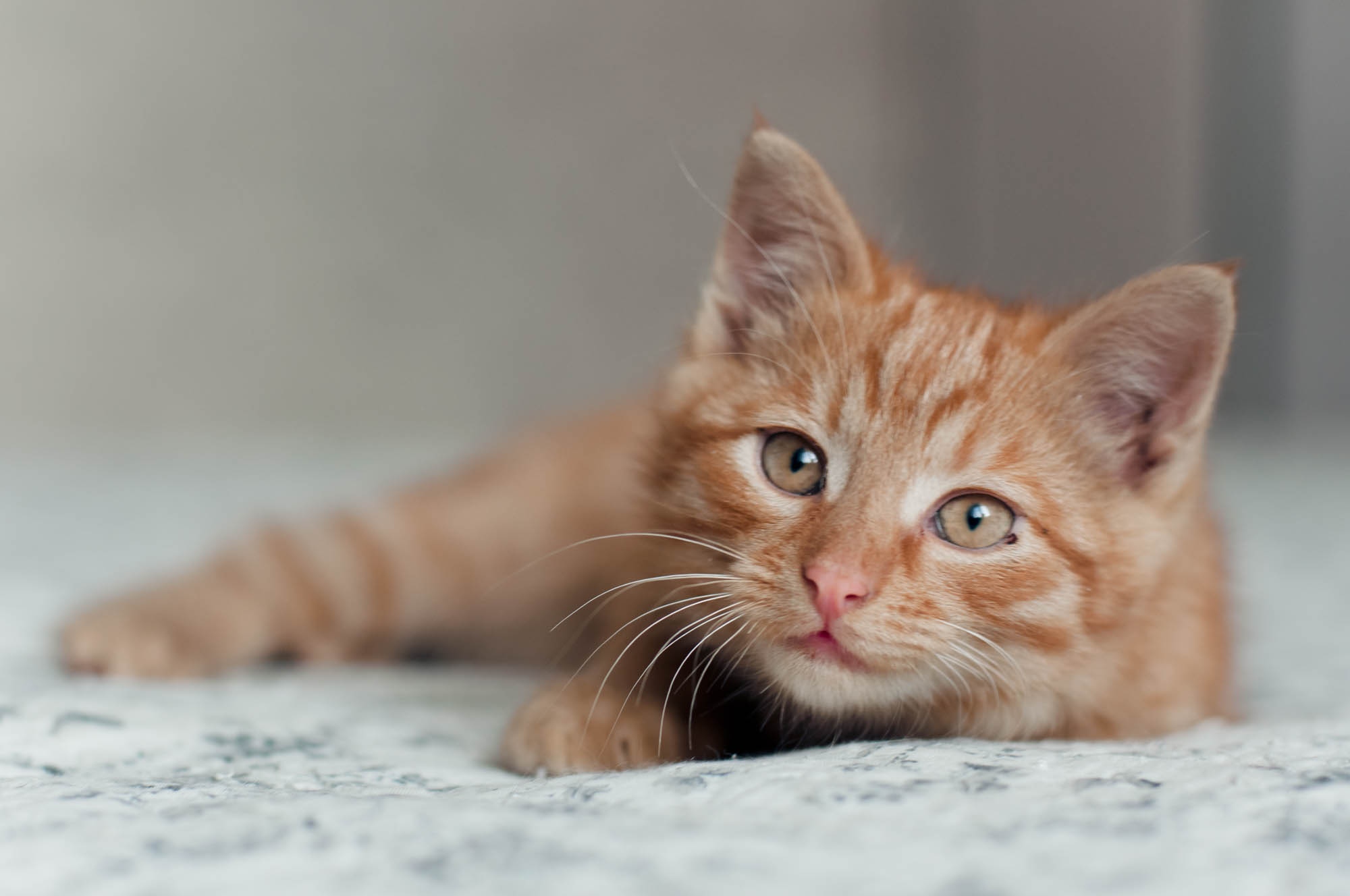 Мам, ты меня звала