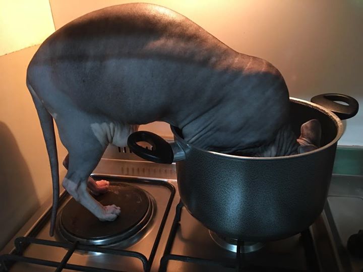 Кажется, что то нашла