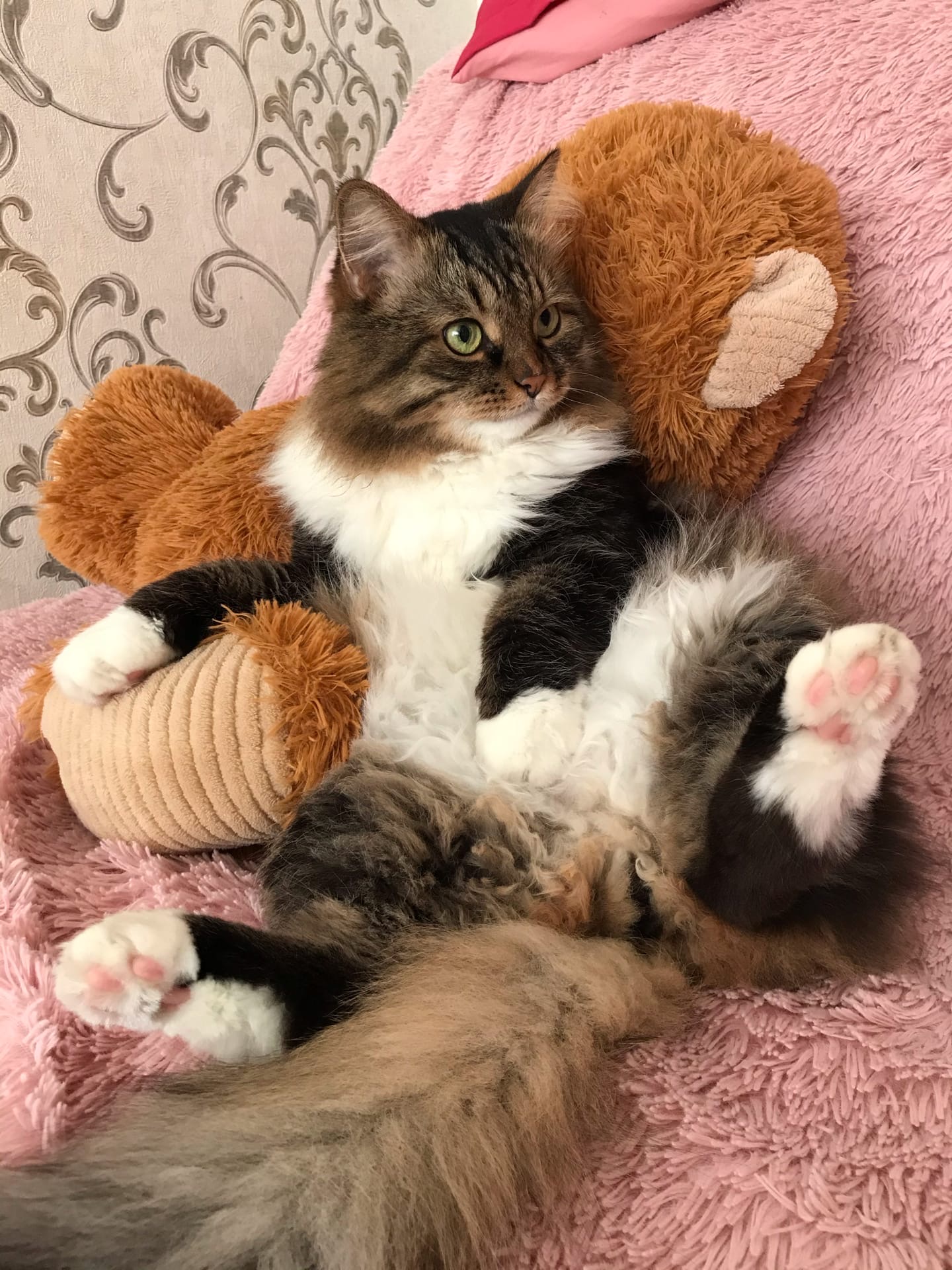 А я вся такая