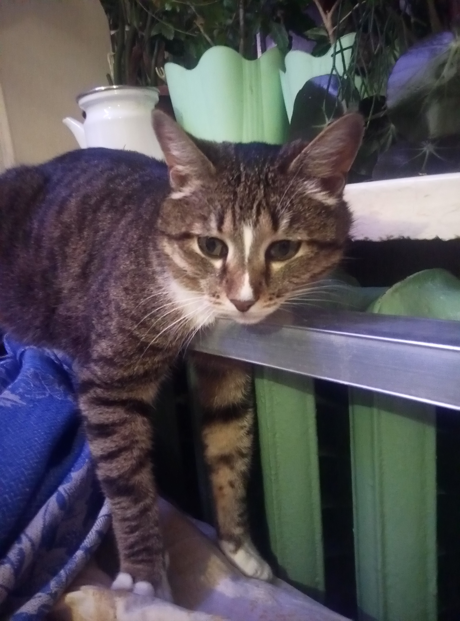 Никаких удобств