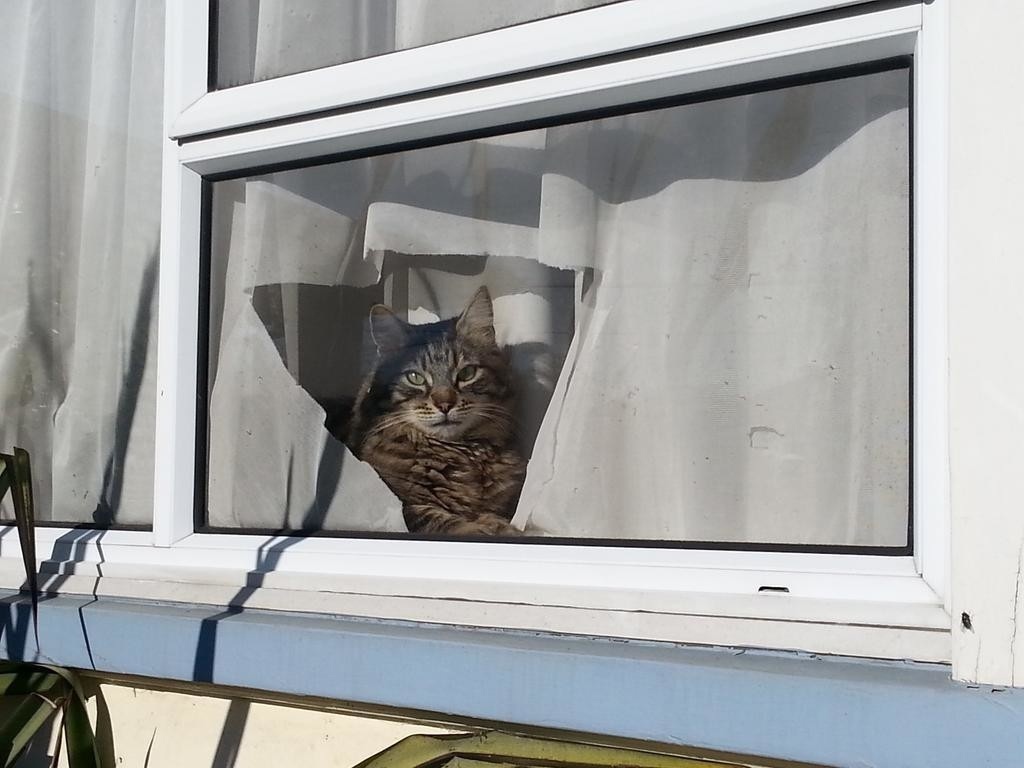 Которешение проблемы