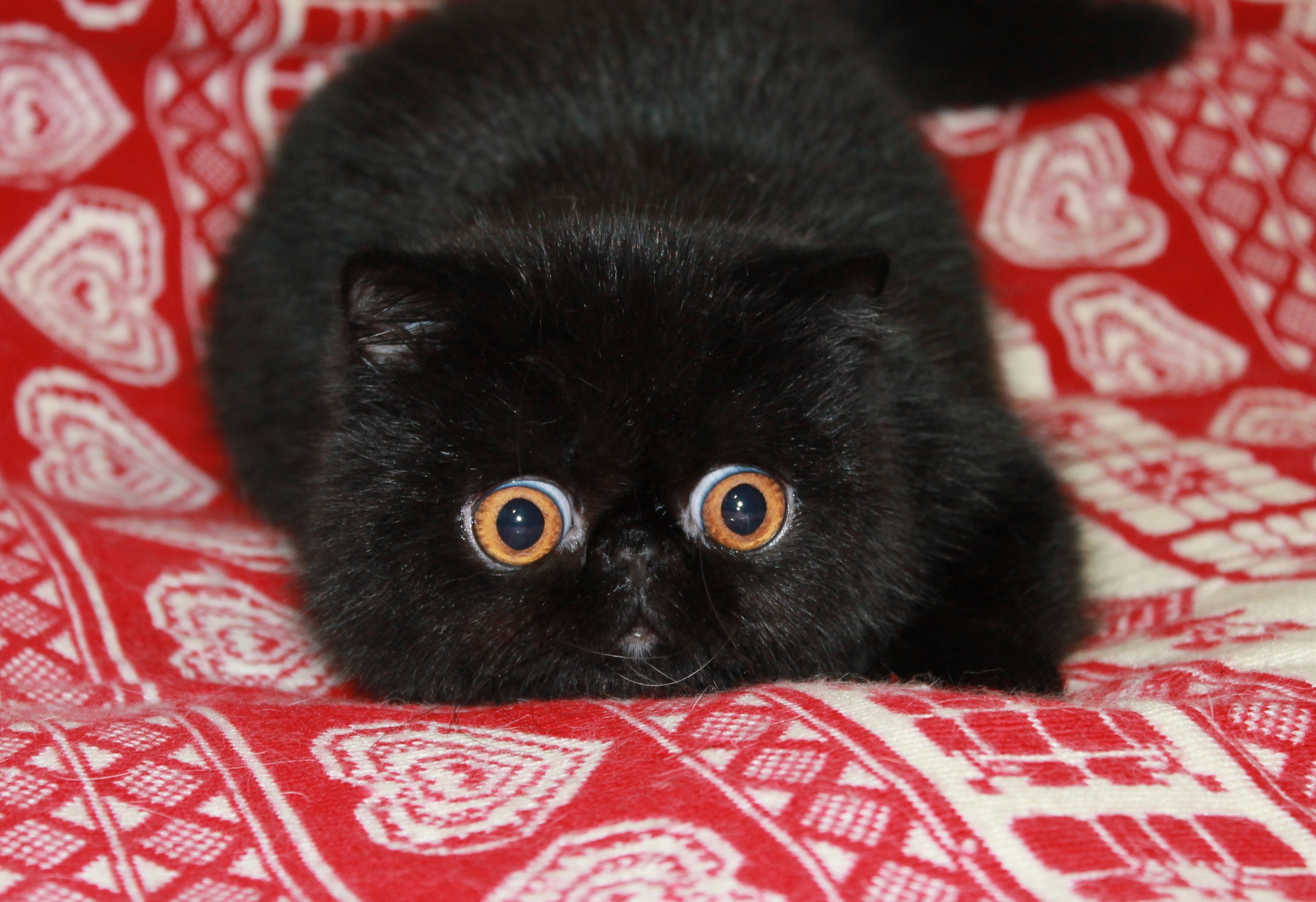 От моего взгляда ничто не ускользнёт