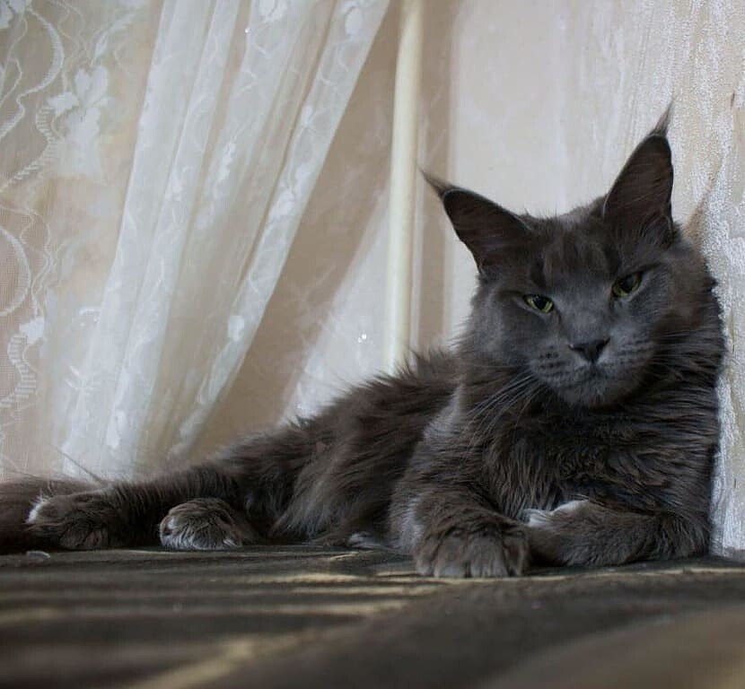 Давайте извиняйтесь, я жду