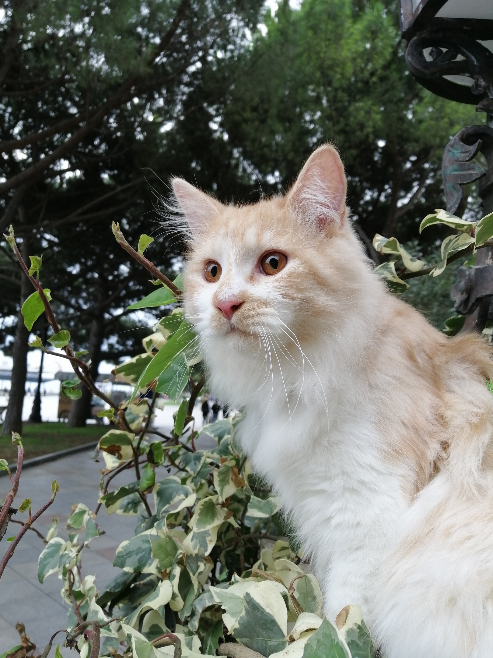 Вы где, люди с вкусняшками